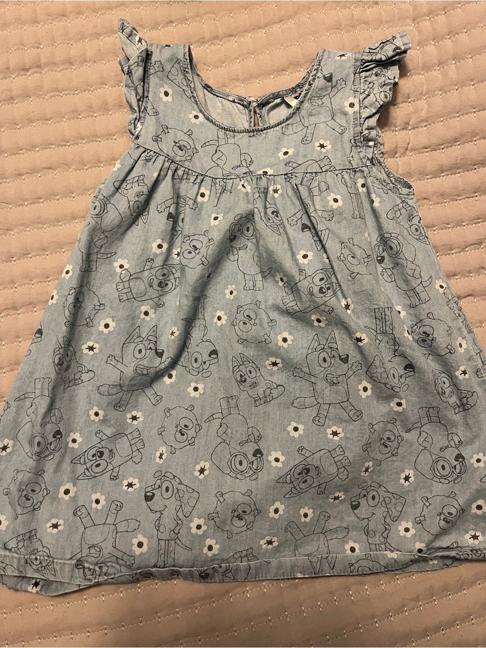 Light Blue Printed Girls' Denim-Style Bluey Dress with Ruffle Sleeves